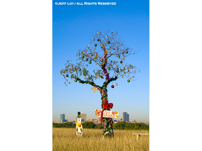 The Homeless Christmas Tree